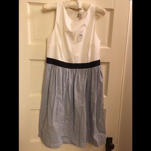 Loft Outlet Dress New With Tags